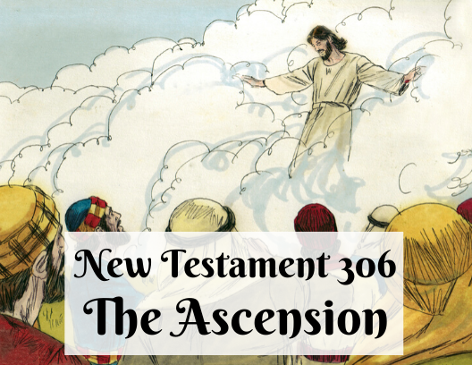 NT 306 - The Ascension